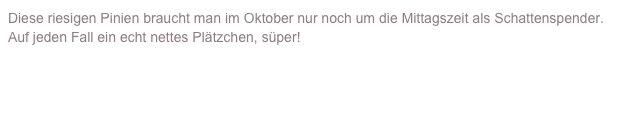 Diese riesigen Pinien braucht man im Oktober nur noch um die Mittagszeit als Schattenspender.
Auf jeden Fall ein echt nettes Plätzchen, süper!

